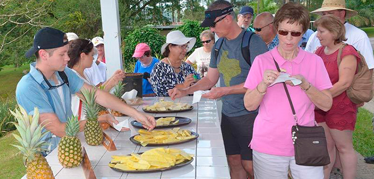 JamXTravel has the best travel experiences in Jamaica
