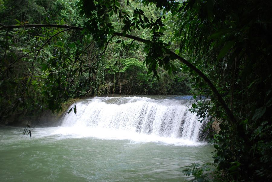 JamXTravel has the best travel experiences in Jamaica