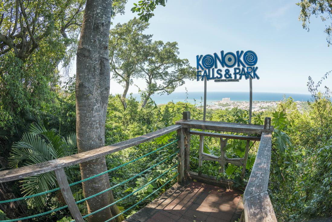 JamXTravel has the best travel experiences in Jamaica
