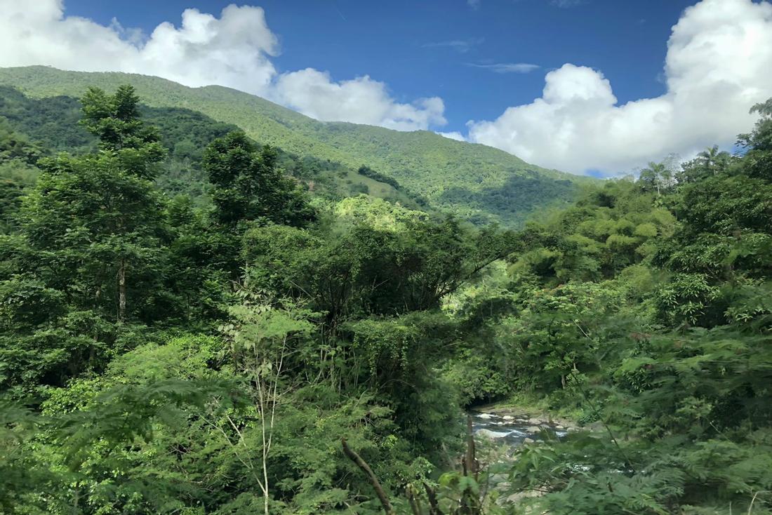 JamXTravel has the best travel experiences in Jamaica